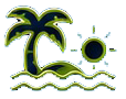 tropical palm tree by the sea with sun and waves representing 6 elements of nature